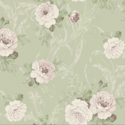 Rosa Grange R1 005