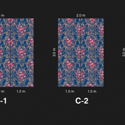 Medallion V10 021
