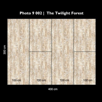 The twilight forrest 9 002