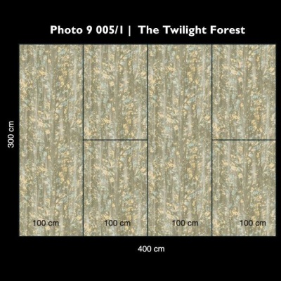 The twilight forrest 9 005 1