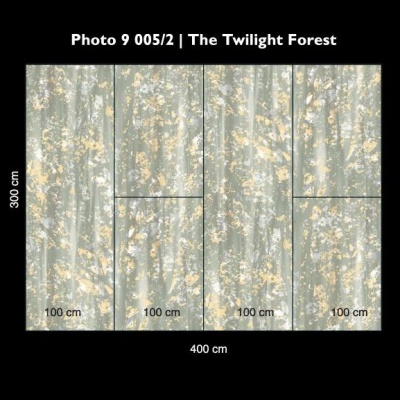 The twilight forrest 9 005 2