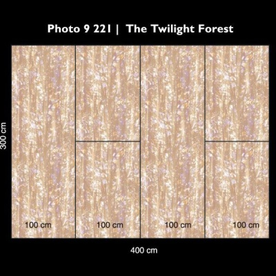 The twilight forrest 9 221
