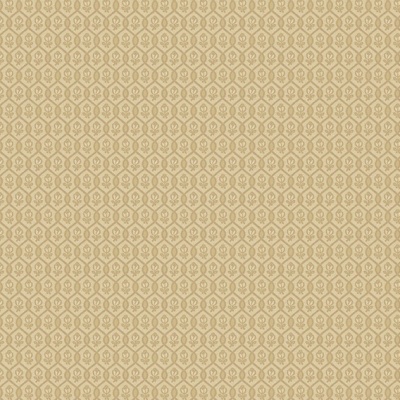 Trelliage AS3 004 1