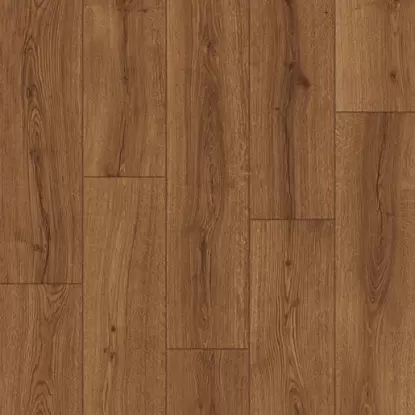 Акция Дуб вулканический